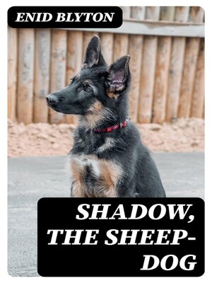 cover image of Shadow, the Sheep-Dog